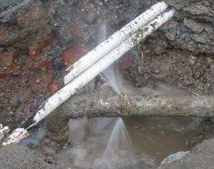 阳明水管维修费用是多少