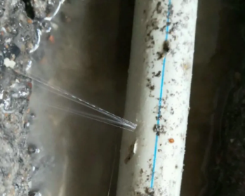 阳明卫生间测漏水多少钱